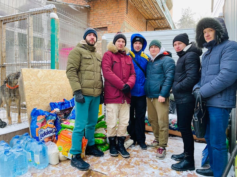 Помощь приютам для животных